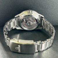 オメガ シーマスター300 コーアクシャル マスター クロノメーター 41M﻿M
 234.30.41.21.03.001